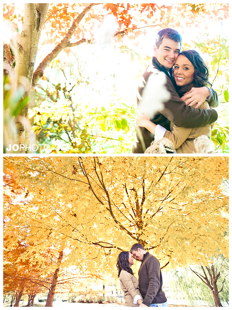 fall engagement pictures in centennial park