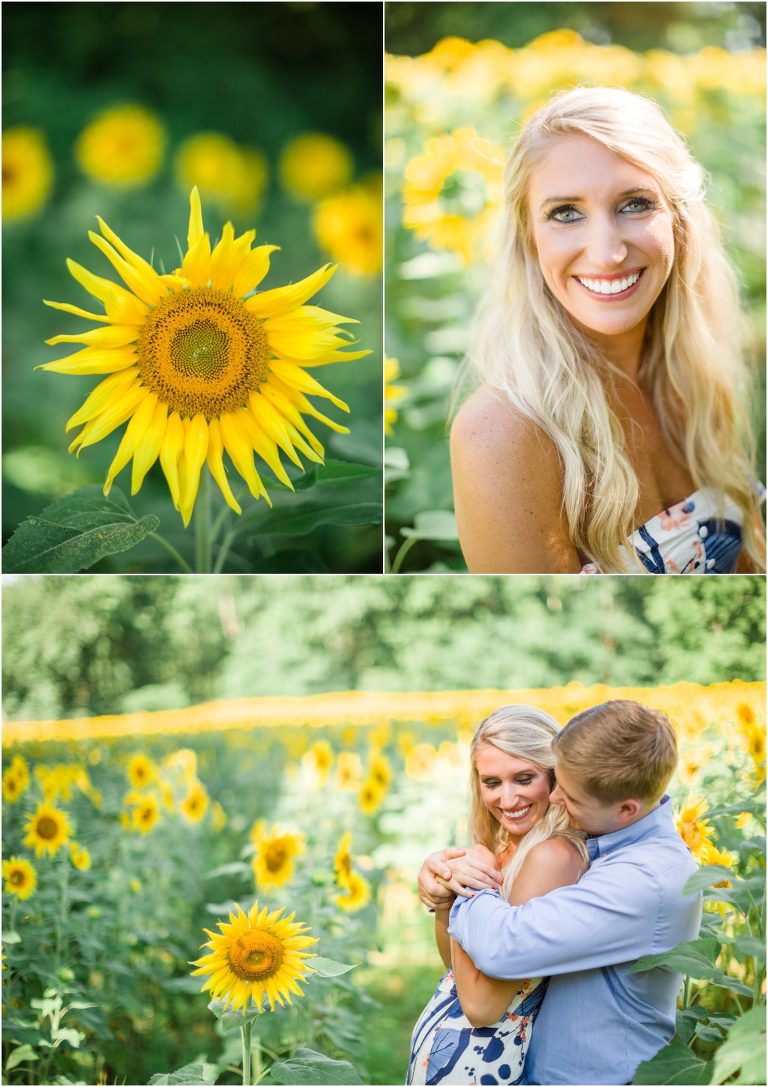 knoxville sunflower field engagement pictures